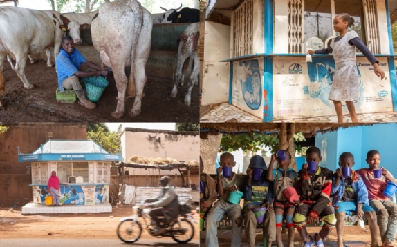 Bild von LED unterstützt Malis lokale Milchwirtschaft