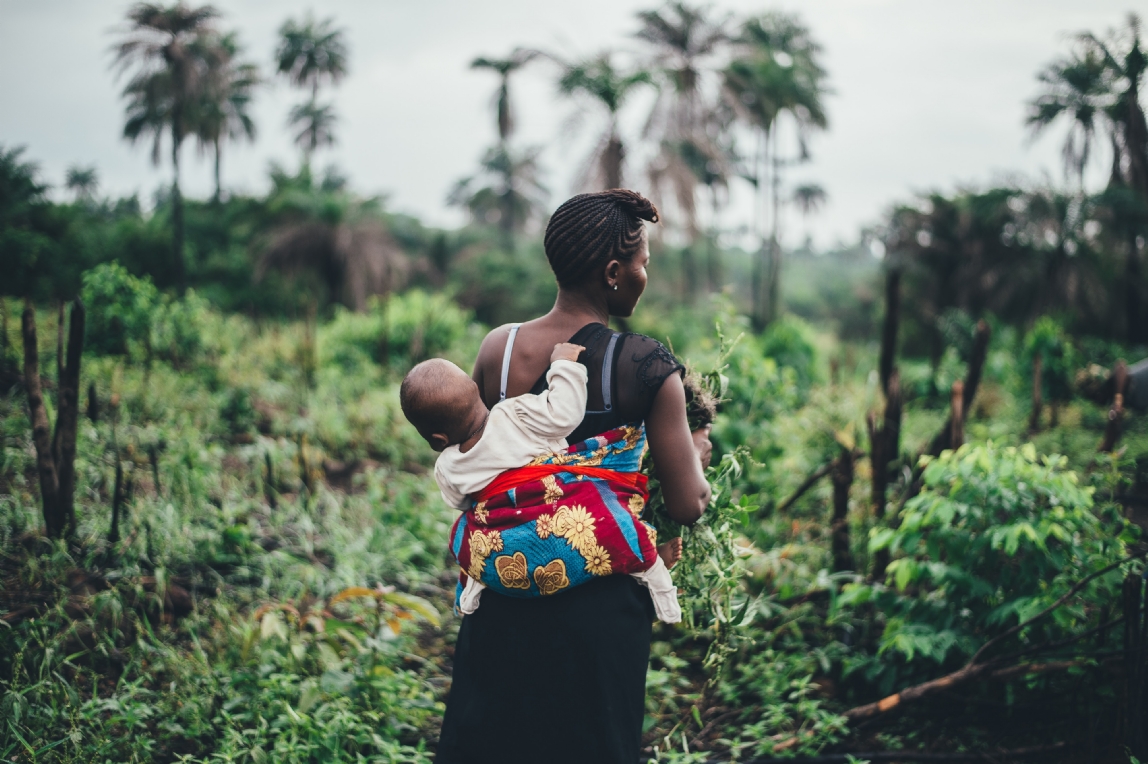 Bild von Unlocking Investments for Smallholder Farmers in Developing Countries